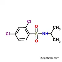 Molecular Structure of 1018135-23-3 (2,4-Dichloro-N-isopropylbenzenesulfonamide)